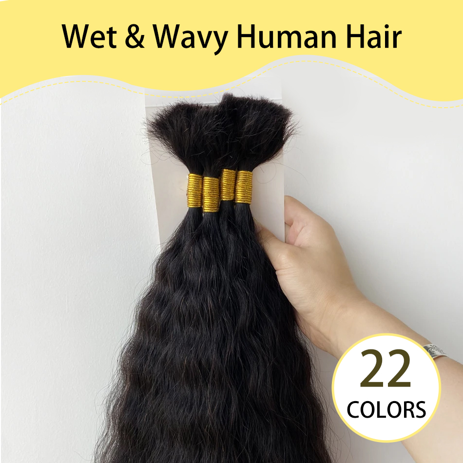 Yelo Wet and Wavy Human Braidi - Water Wave Bulk Human Hair For Braiding ulasan dan harga